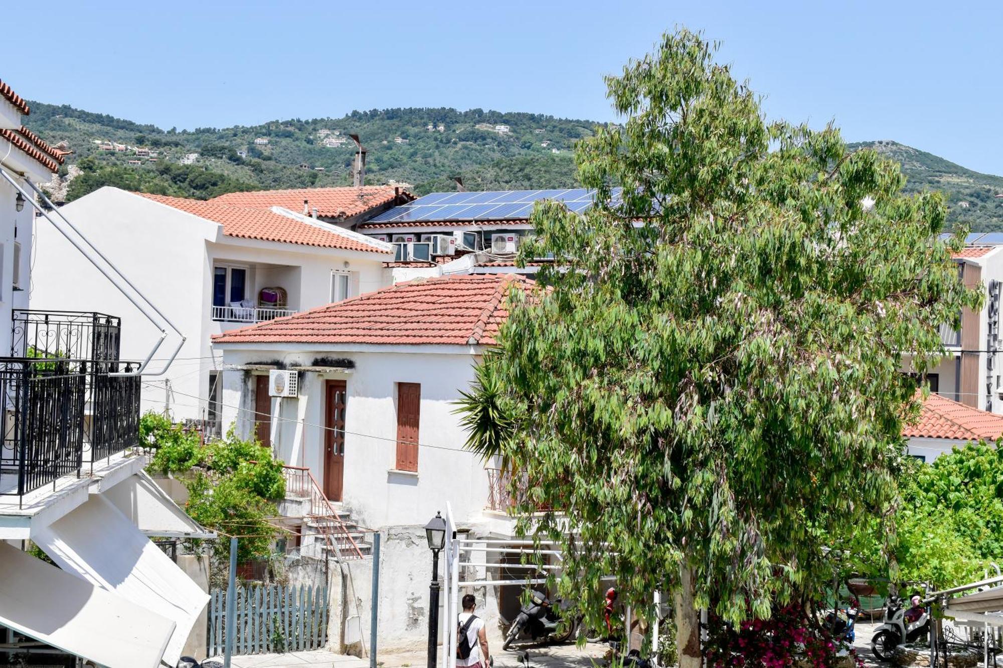 Entelia Hotel Skiathos-stad Kamer foto